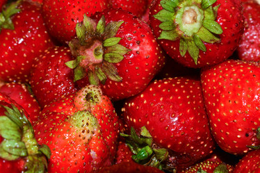 Similar image 20109552