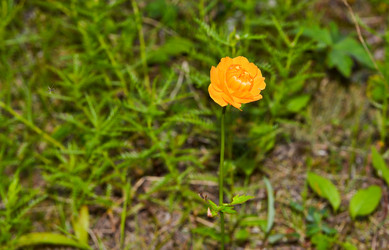 Similar image 20109556