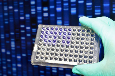 Similar image 20109706