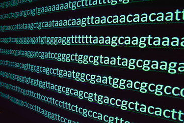 Similar image 20109710