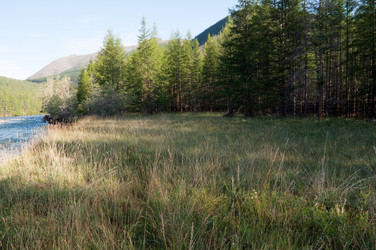 Similar image 20109735