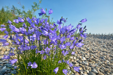 Similar image 20109736