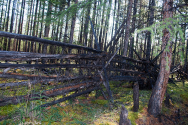 Similar image 20109743