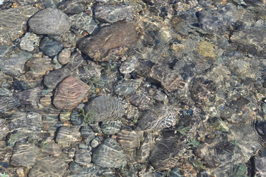 Similar image 20109760