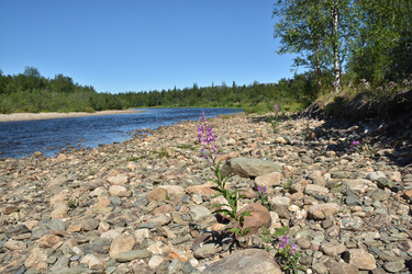 Similar image 20109776
