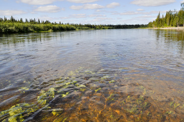 Similar image 20109778