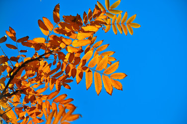 Similar image 20109784