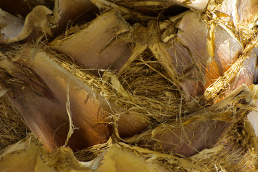 Similar image 20112998