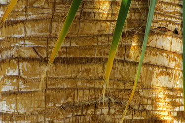 Similar image 20112999