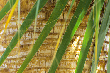 Similar image 20113002