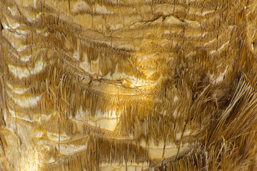 Similar image 20113552