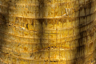 Similar image 20113556