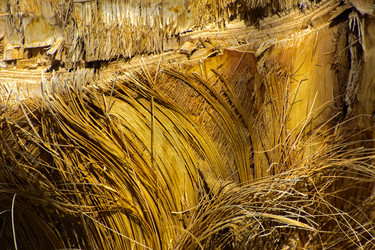 Similar image 20113564