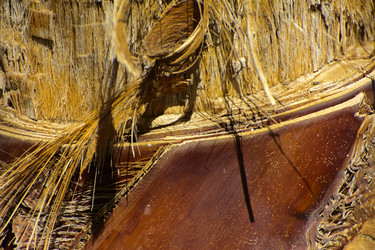 Similar image 20113568