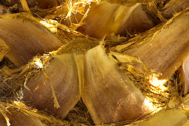 Similar image 20113580