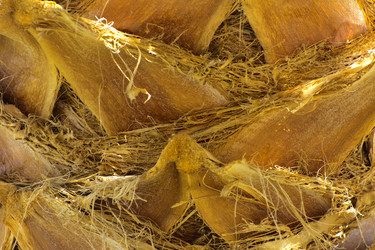 Similar image 20113585