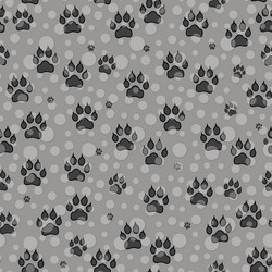 Similar image 20158909