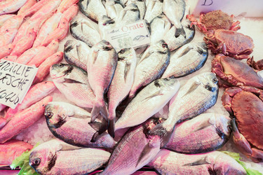 Similar image 20070567