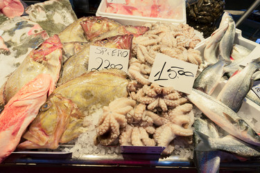 Similar image 20070569