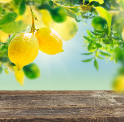 Similar image 20070597