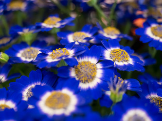 Similar image 19965923