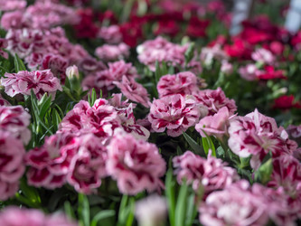 Similar image 19965928