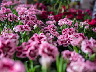 Similar image 19965935