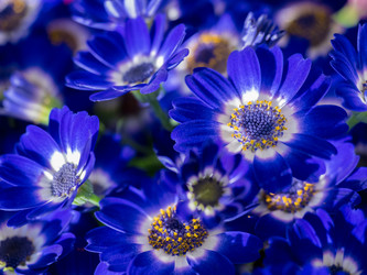 Similar image 19965940