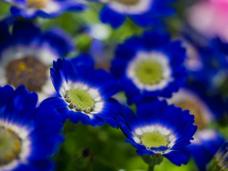 Similar image 19965947