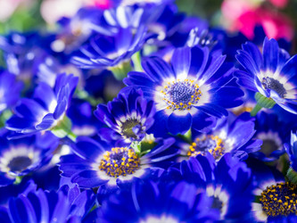 Similar image 19965952