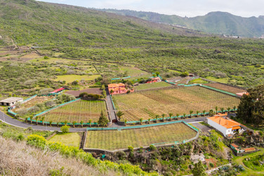 Similar image 20121652