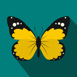 Similar image 20062929