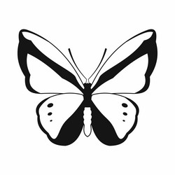 Similar image 20062989