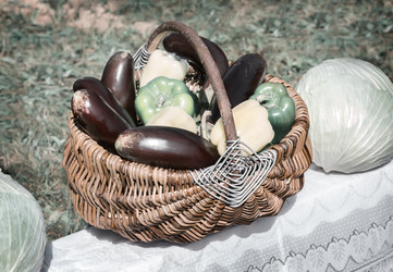 Similar image 20166236