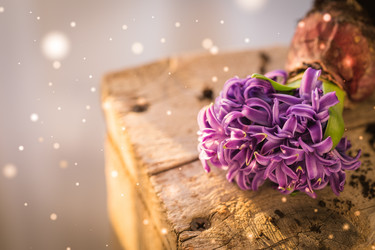 Similar image 19944732