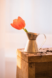 Similar image 19944733