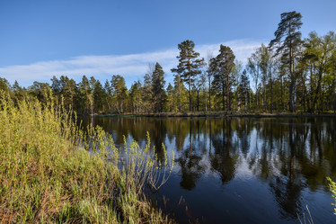 Similar image 20109811