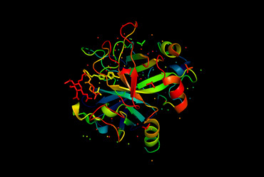 Similar image 20109836