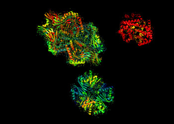 Similar image 20109837