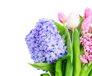 Similar image 20070600