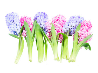 Similar image 20070601