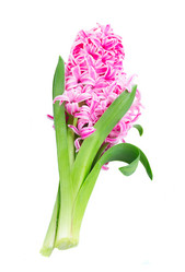 Similar image 20070602