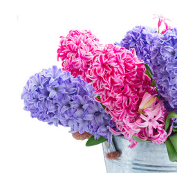 Similar image 20070603