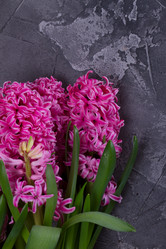 Similar image 20070604