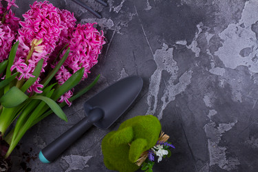 Similar image 20070606