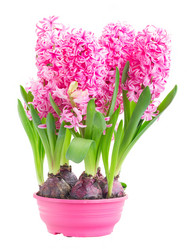 Similar image 20070610