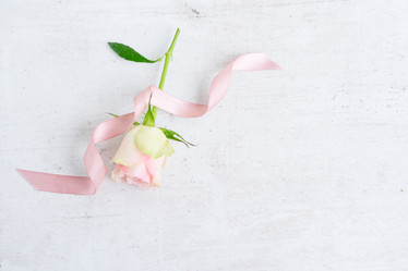 Similar image 20070611