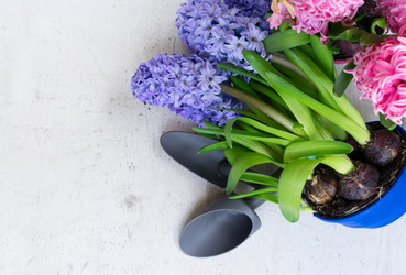 Similar image 20070626