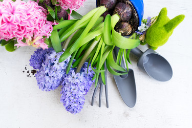 Similar image 20070628