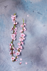 Similar image 20070634